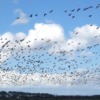 Thumbnail of new posts 056
